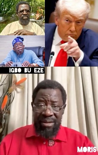 Nigerian govt is complicit in the genocide going on in Nigeria 👉🏻Dele Farotimi messages Donald Trump to use ICC to Deal with our leaders that have stolen money in American banks & insist that the right things are done in Nigeria, says We don’t need visitation with guns. | Igbo Bu Eze