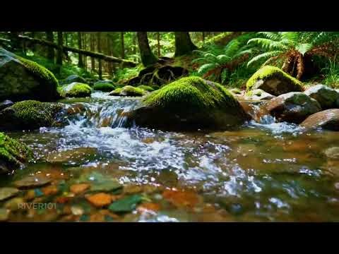 Crystal Clear River Sounds at Golden Hour 🌿 Relaxing Nature Ambience for Deep Sleep & Stress Relief