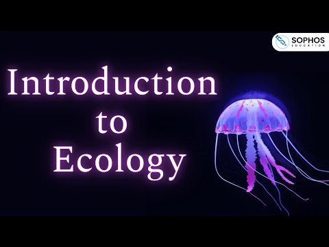 Introduction to Ecology