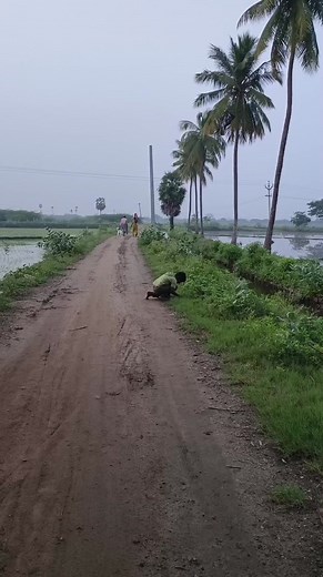 Baby vaporub 8 herbs podu ready pannirom sale booking number 9677997823 #trending #babyvaporub #babycare | Farmhouse grama samayal