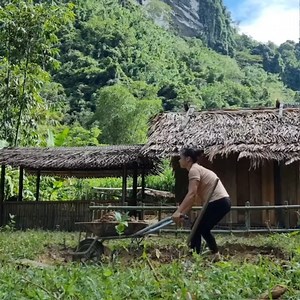 90K views · 1.7K reactions | 180 Days Busy Construction - Single Mother Alone Building a Bamboo House by the Lake- #singlemom #singlelife #single #singlesinferno #singlemomlife #singleladies | Single Mom | Facebook