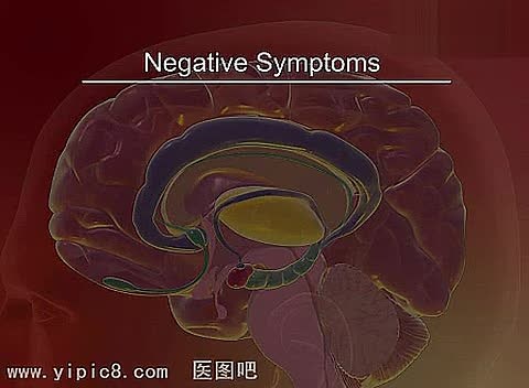 多巴胺通路Dopamine Pathways