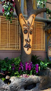55K views · 981 reactions | Here’s the new Tangaroa outside Walt Disney’s Enchanted Tiki Room at Disneyland! #Tangaroa #disneyland #disneylandcalifornia #disney #disneyresort #disneylandresort #disneylandanaheim #disneygramer #disneygram #disneyparks #disneypark #disneygramers #disneygrammer #disneygrammers #tikiroom | The Disney Scoop Guy | Facebook