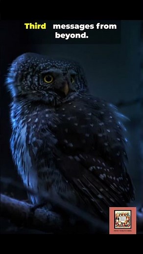 Saw a White Owl? Here’s What It Means #owl #animals #spirituality #birds