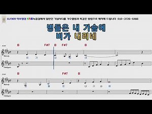 박재란 님