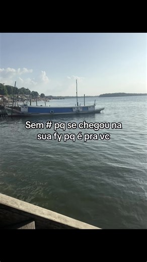 Os vídeos de Jobson Silva (@sjobson) com som original - new3fx