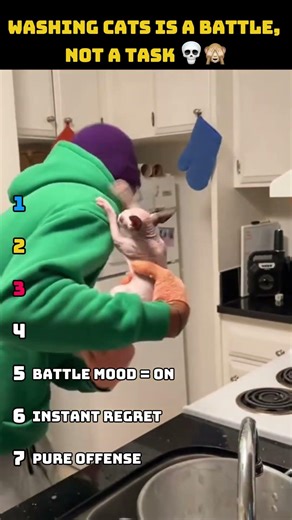 Cat Bath Gone WRONG Every Single Time 🤣 #shorts #funny