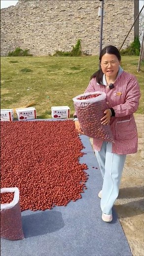 Drying Red Chilies the Traditional Way Sun-Dried Chilies: A Simple yet Effective Method