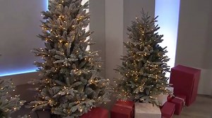 18K views · 161 reactions | Bring home the joy of Christmas with...