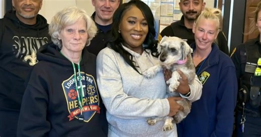 Lost dog found 1,300 miles away, returned to family two years after going missing