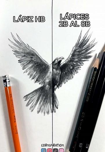 Tipos de lápices en el dibujo: tutorial completo