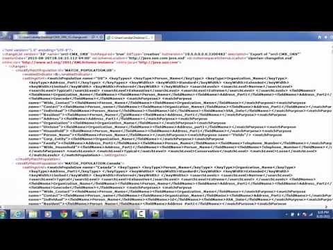 04. Informatica MDM 10 - Repository Manager for Promote changes