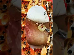 Blackheads Removal #376 | Acne Treatment and Very Satisfying Satisfying Pimple pop #blackheads