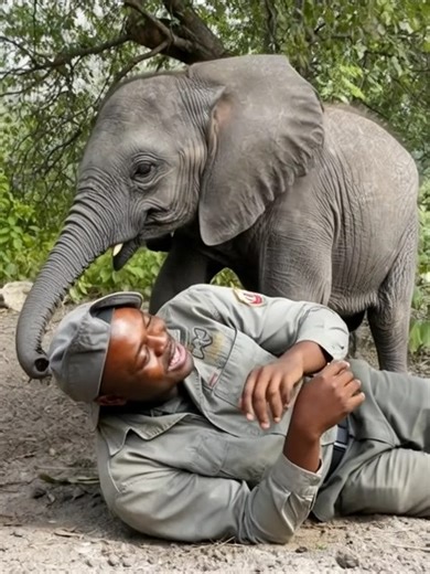 4.1K views · 132 reactions |  When Baby Joy Found Her Light Again ...