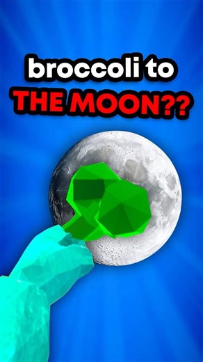 Can You Escape the MOON With BROCCOLI? 🤔🌙