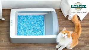 1.7K views · 13 reactions | Are you tired of smelly litter boxes? Have you had enough of scooping every day? Discover the new ScoopFree™ Self-Cleaning Litter Box from PetSafe Brand. It cleverly rakes waste away into a covered compartment and its premium crystal litter controls odour five times better than traditional litter boxes - that means you can have a fresh-smelling home while never having to scoop again! For more information: https://bit.ly/3l8uYXz | Yummypets | Facebook
