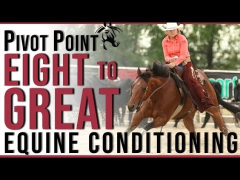 Introducing our "Equine 8 to Great" Conditioning program.