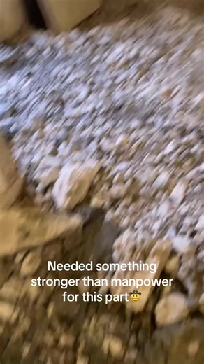 Mini Excavator Renovation: A Family Project