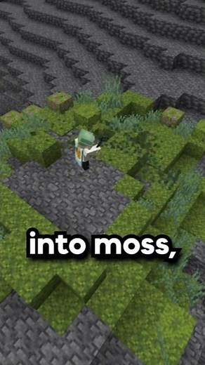 The Best Way To Remove A Minecraft Chunk