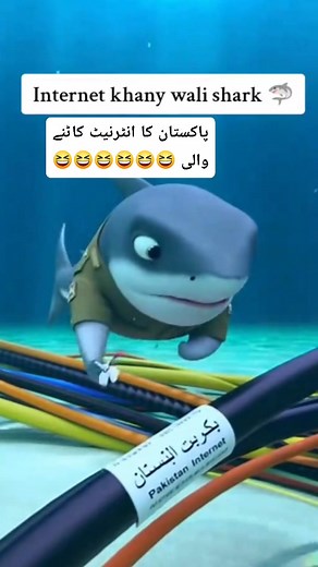 پاکستان کا انٹرنیٹ کاٹنے والی Constant Failures #viralpost2025シ #indvspak2025 #reelsviralシ #fbreels #iccchampionstrophy2025 #fypageシ #trendingreelsvideo #fypシ #sanwalyaarpiya #trend #trendingnow #funny | Constant Failures