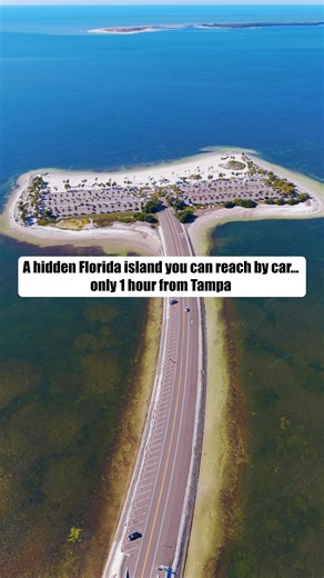 Codie N Drew | Food, Travel & Hidden Gems | Details 👇🏻 . Fred Howard Park 📍1700 Sunset Dr, Tarpon Springs, FL 34689 . Fred Howard Park in Tarpon Springs is a rare Florida gem where a... | Instagram