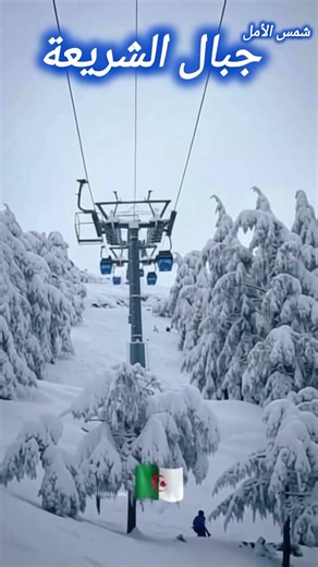 جبال الشريعة بحلتها البيضاء #الجزائر #جمال_الطبيعة#السياحة_في_الجزائر #الطبيعة_في_الجزائر #اكسبلور