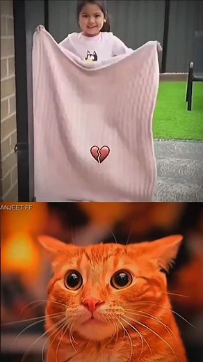 Magic Fail 😂 #cat.#meme #dance