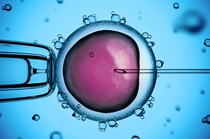 Microinjection Services