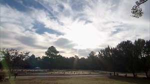 16M views · 5.8K reactions | 82-year-old Dan Peterson fell into a...