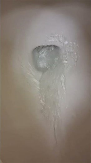 Crane Walton Toliet At Party