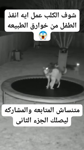 95K views · 114 reactions | اتفرج للأخر  #الجميع | Mahmoud Agnabii | Facebook