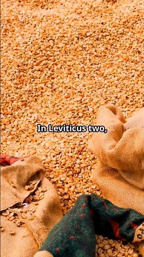 Leviticus 2: The Grain Offering – Meaning, Worship, and Devotion in Scripture.