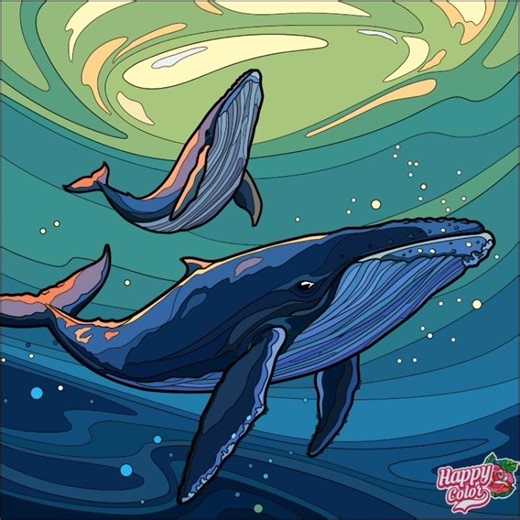 whales 🐋 #coloring #animal #whale #sea #colors #coloringvideos #trending #shorts #viral #shortsfeed