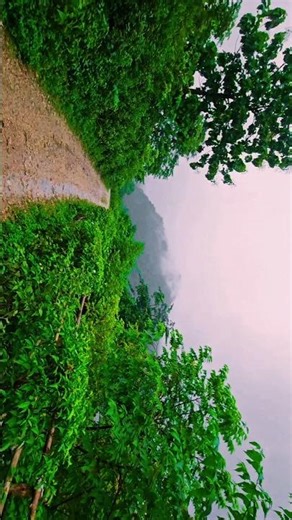 This The different colour of mountain ⛰️ #cinematography