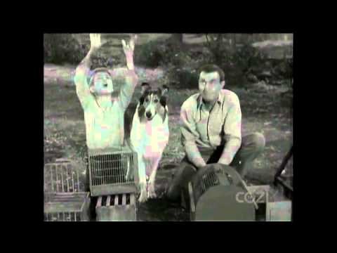 Lassie - Episode #322 - "A Matter of Pride" - Season 9, Ep. 31 - 05/12/1963