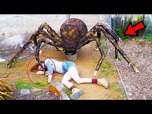 Ngiki Igitagangurirwa kinini ku isi| Dore uko kibaho ndetse n'uburyo bikora indodo tubibonana