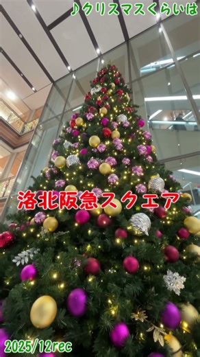 #クリスマスツリー #京都 #観光 #四条 #クリスマス #寺町