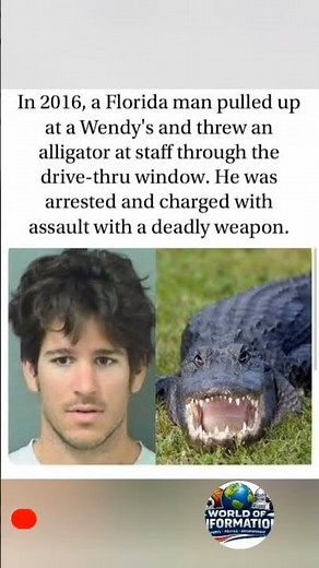 Florida Man Throws Alligator Through Wendy's Drive-Thru Window 😳🐊