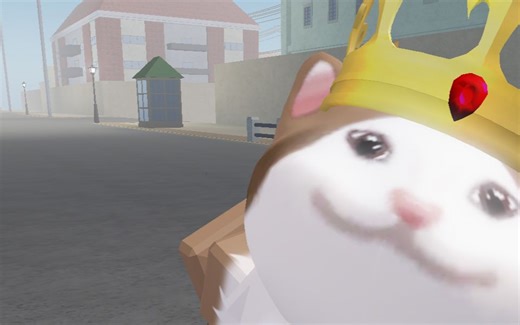 YBA 王冠小猫大战uzu