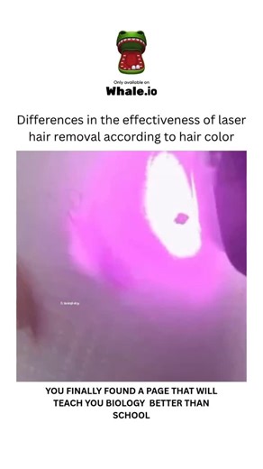 BIOLOGY | MEDICAL | HEALTH on Instagram: "Laser hair removal is most effective for dark hair because its high melanin content absorbs laser light, but it is less effective for blonde, red, and gray hair due to their low or absent melanin. While advancements have improved results for lighter hair, dark hair on light skin is the ideal combination for the best outcomes and safety. Dm for credit or removal 👏🏻🙏🏻 For educational purposes only……… #viral #explore #biology