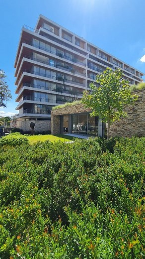 Casa das Plantas | Paisagismo & Garden Center | Essa é a Eugenia Mattosii, também conhecida como Cerejeira anã ou pitanga anã. É um pequeno arbusto que aceita muito bem a poda, nativo... | Instagram