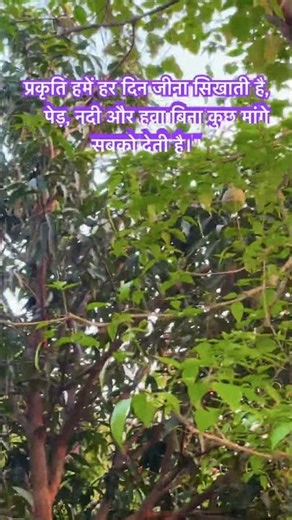 #sajan aja re #motivational #lovemusic #prakriti #facbook # insta