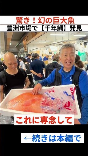 Incredible! A Legendary Giant Fish: Millennium Sea Bream Discovered at Toyosu Market!