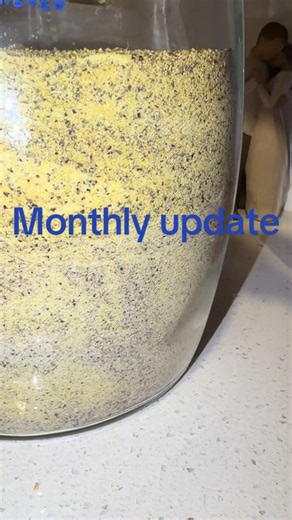 Monthly update time :)) #lemonpepper #update #monthly #series #food | food