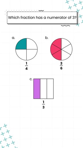 Which Fraction Has a Numerator of 3? (Easy Fraction Test)