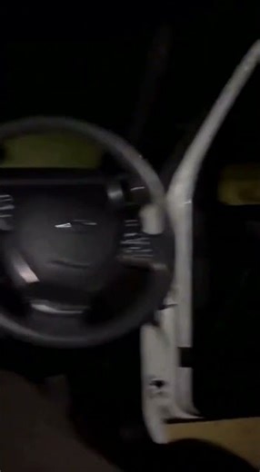 POV: We Saved A Baby Lion From Hunters #Shorts