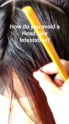 Weekly comb throughs with LRS Nit Free Terminator Lice Comb will help you stay ahead of a Lice infestation even if you are exposed. #RGVLiceLady #factsoflice #facts #liceremovalservice #liceprevention #liceawareness | LRS - Lice Removal Service