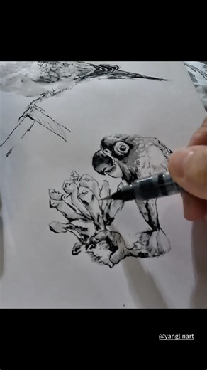 Ink Sketch Series · Animal 21 #inksketch #drawingprocess