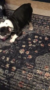 24 reactions | Ok guys we are starting to raise funds for our sweet...