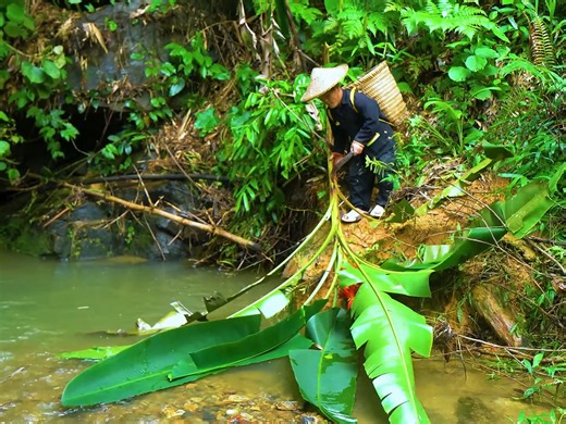 2.8K views · 47 reactions | Giant Python Attacks Dwarf Family During Jackfruit and Lychee Harvest Corn Turned to Wine Amid Chaos! | Bushcraft TV | Facebook